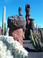 Steinkakteen im Jardin de Cactus
