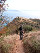 Blick zur Spitze des Rocca di Manerba