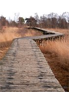 Knuppelbruggen Nr. 2 im Groote Peel