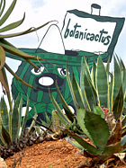 Botanicactus Maskottchen